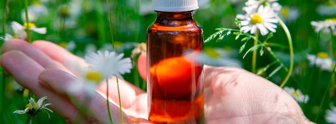 Curso de Flores de Bach