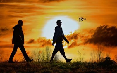 ¿Cómo se inicia un movimiento?