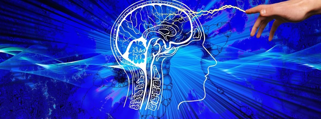 Las Funciones Ejecutivas Cerebrales